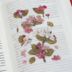 Appree | Pegatinas de Flores Prensadas Apple Blossom