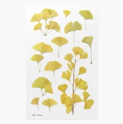 Appree | Pegatinas de Flores Prensadas Ginkgo