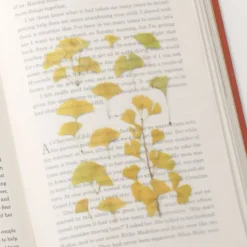 Appree | Pegatinas de Flores Prensadas Ginkgo
