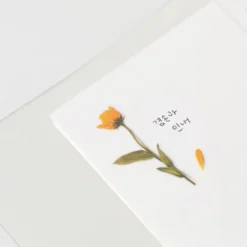 Appree | Pegatinas de Flores Prensadas Calendula
