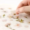 Appree | Pegatinas de Flores Prensadas Cherry Blossom