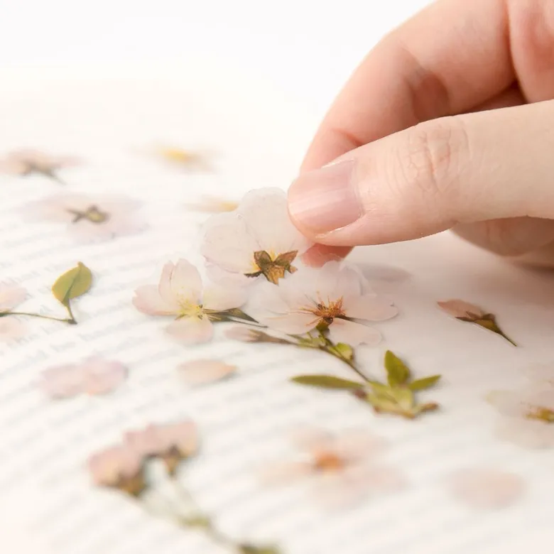 Appree | Pegatinas de Flores Prensadas Cherry Blossom