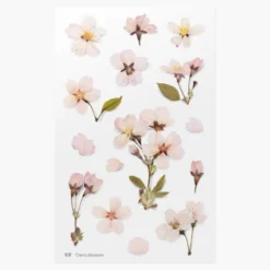 Appree | Pegatinas de Flores Prensadas Cherry Blossom
