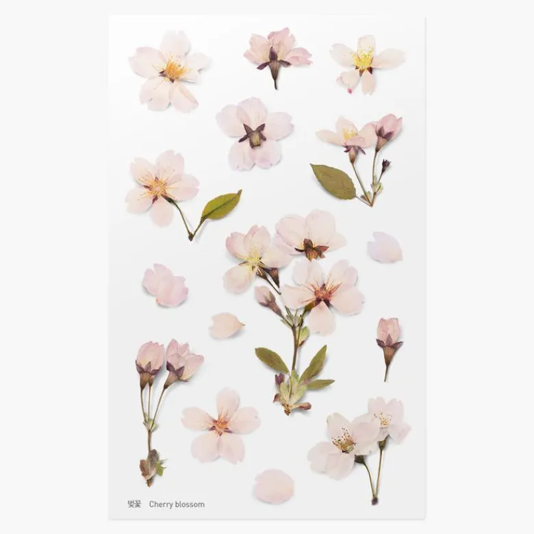 Appree | Pegatinas de Flores Prensadas Cherry Blossom