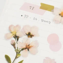Appree | Pegatinas de Flores Prensadas Cherry Blossom