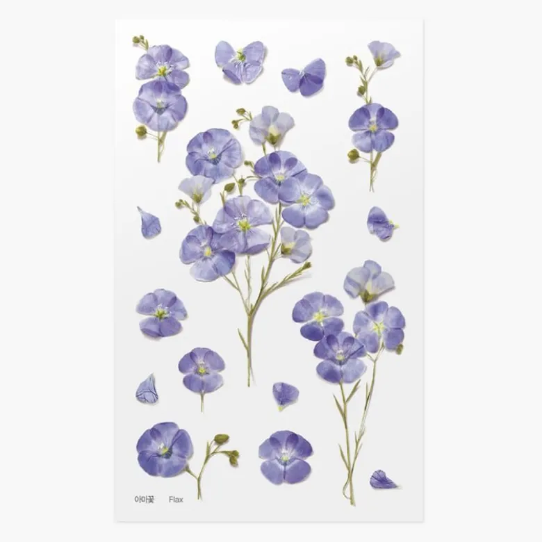 Appree | Pegatinas de Flores Prensadas Flax