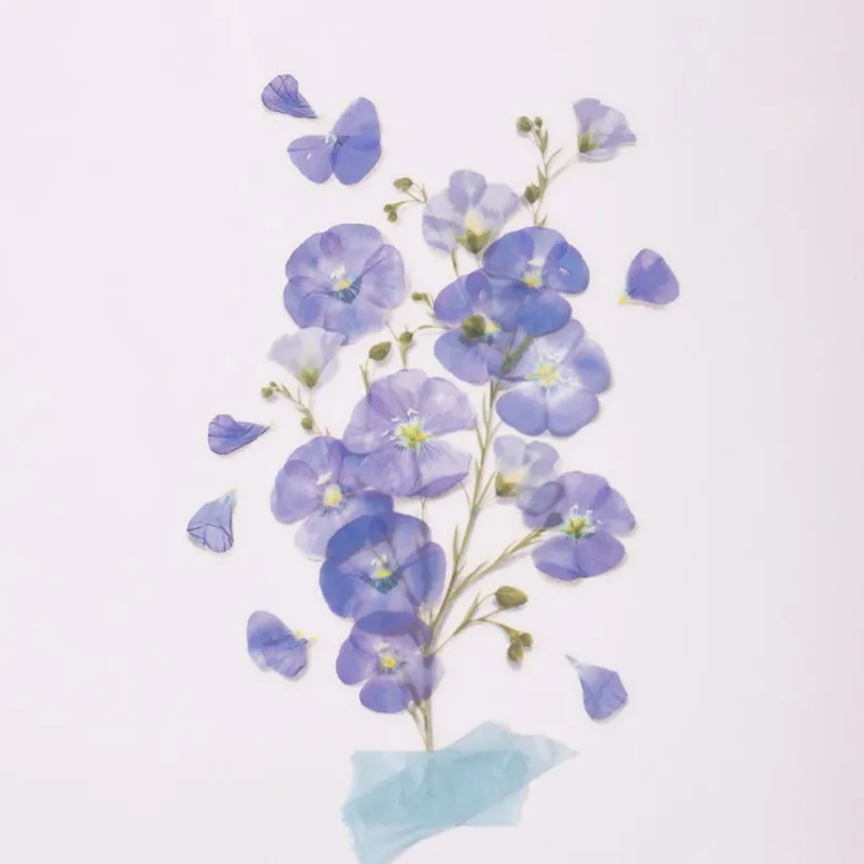 Appree | Pegatinas de Flores Prensadas Flax