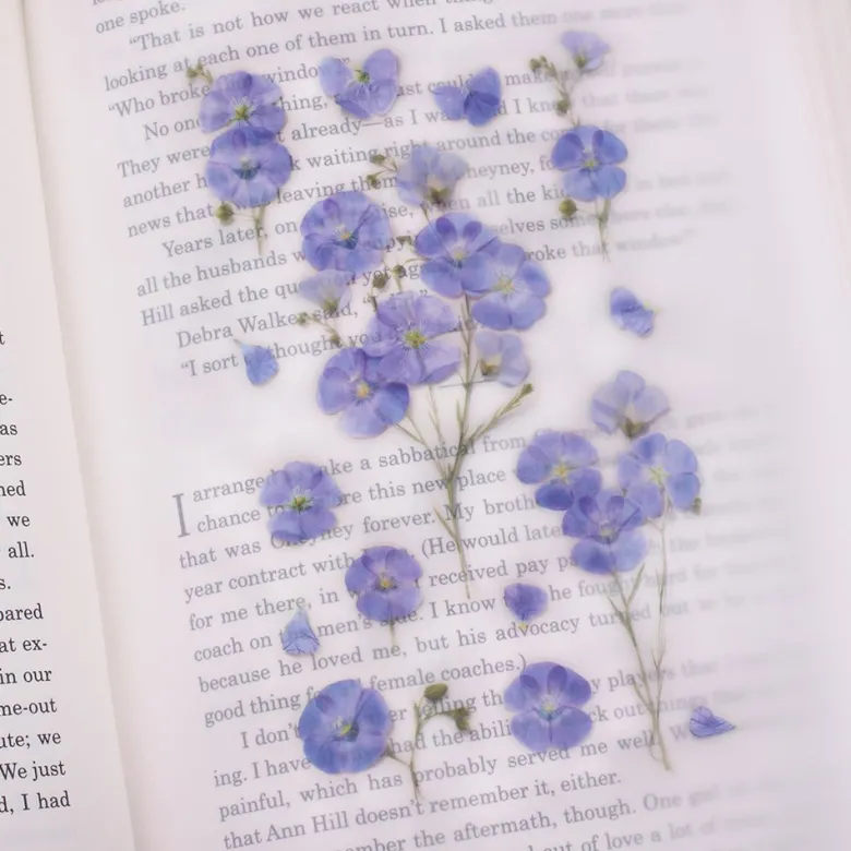 Appree | Pegatinas de Flores Prensadas Flax