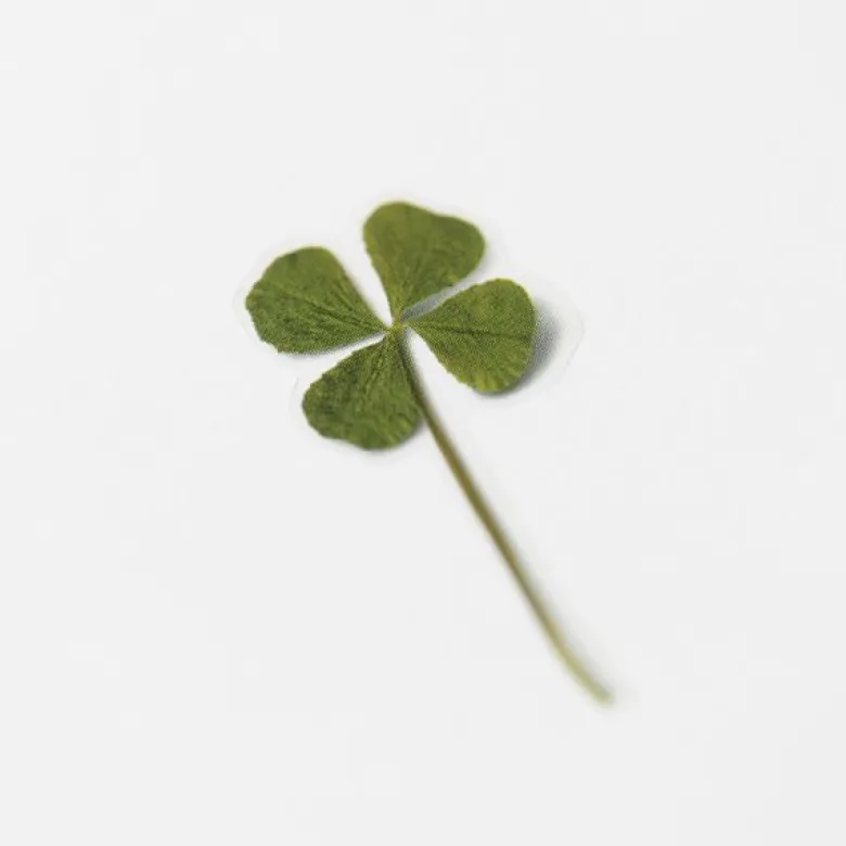 Appree | Pegatinas de Flores Prensadas Four Leaf Clover