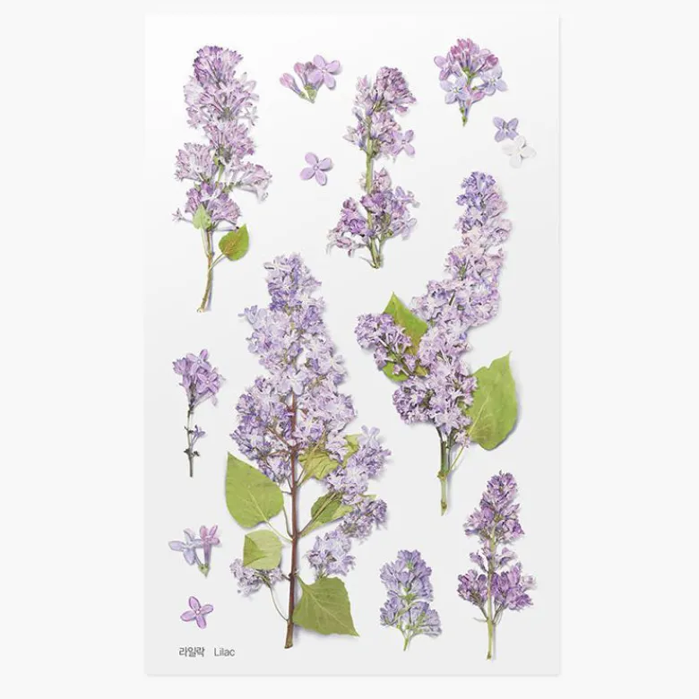 Appree | Pegatinas de Flores Prensadas Lilac