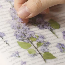 Appree | Pegatinas de Flores Prensadas Lilac