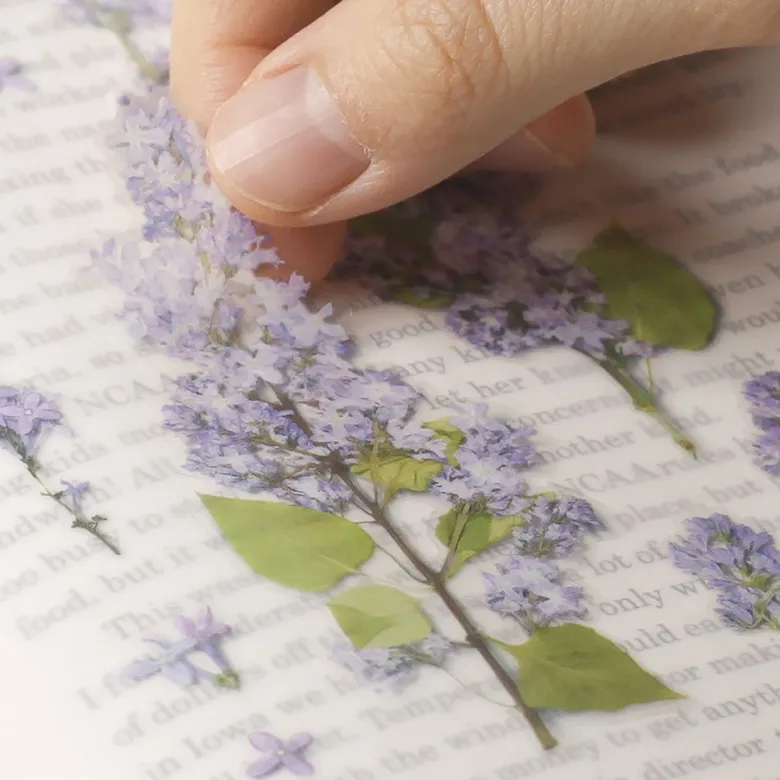 Appree | Pegatinas de Flores Prensadas Lilac