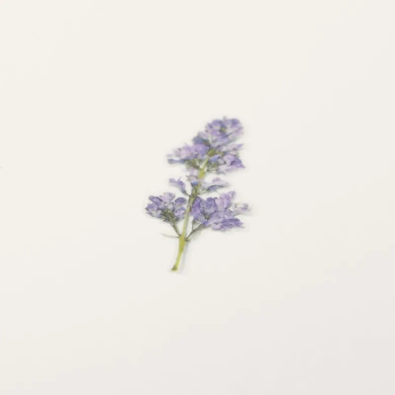 Appree | Pegatinas de Flores Prensadas Lilac
