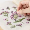 Appree | Pegatinas de Flores Prensadas Verbena