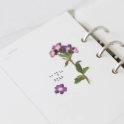 Appree | Pegatinas de Flores Prensadas Verbena