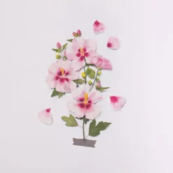 Appree | Pegatinas Flores Prensadas Rose Of Sharon