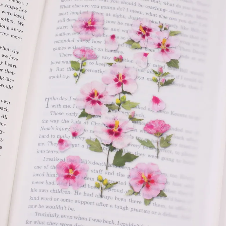 Appree | Pegatinas Flores Prensadas Rose Of Sharon