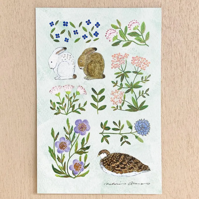 Cozyca | Postal Midori Asano Fleur