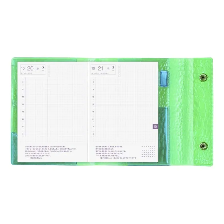 Hobonichi | Agenda Hobonichi Techo A6 beautiful people: Nothing to Hide (Green) 2027
