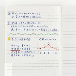 Hobonichi | Cuaderno Hobonichi Notebook A6 (Rayas)