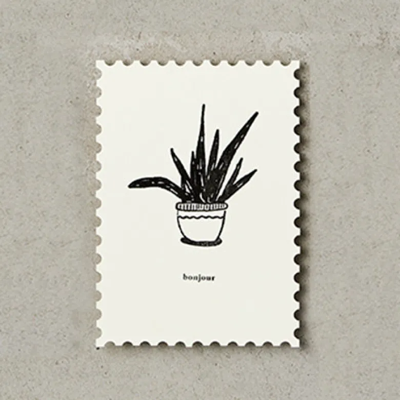Katie Leamon | Postal Plants Bonjour