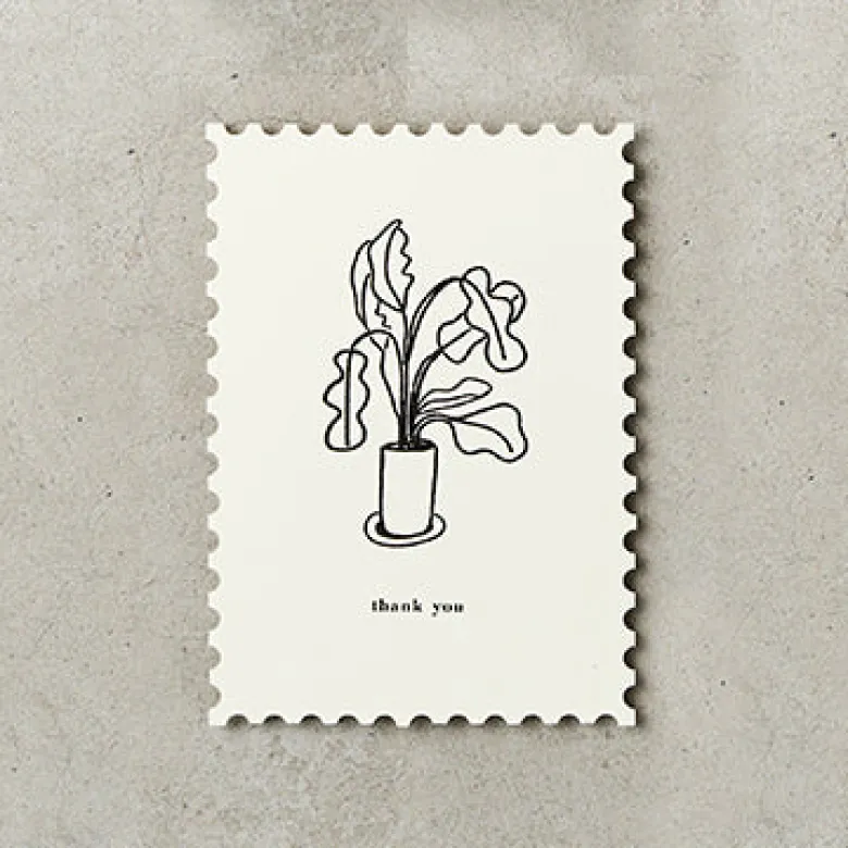 Katie Leamon | Postal Plants Thank You
