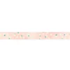 King Jim | SODA Transparent Pet Tape Uraraka (15mm)