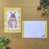 4Legs | Postal Rabbit in Spring