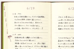 Midori | Diario Midori de 3 Años Brown
