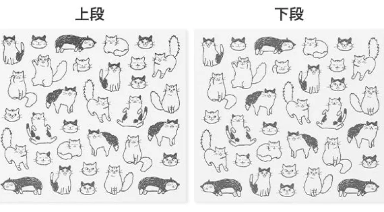 Midori | Pegatinas Chat Cat
