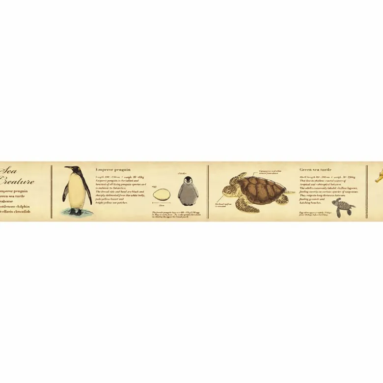 MT Masking Tape | Encyclopedia Marine Creature Washi Tape