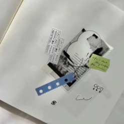Pion | Report Paper Shaped Paper Tape