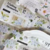 XiYue | A Spring Day PET Tape (1 metro)